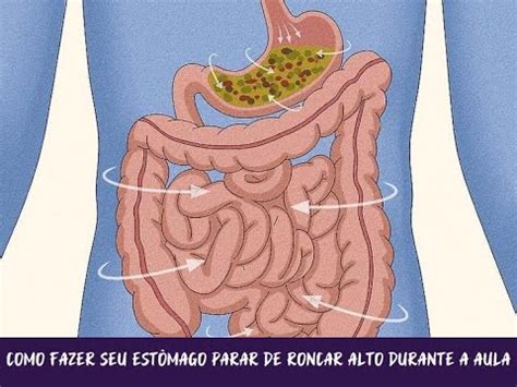 Como Fazer A Barriga Parar De Roncar - Como Fazer seu Estômago Parar de Roncar Alto Durante a Aula - YouTube