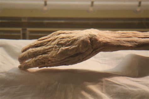 This 2,200 Year Old Mummy is So Well Preserved There's Still Blood in ...