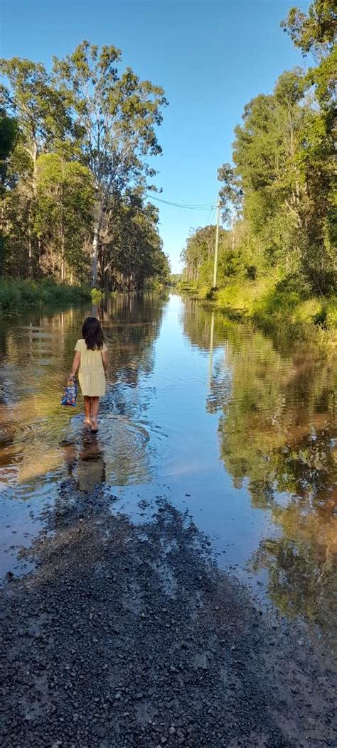 Bungawalbin Wildlife Reserve Hipcamp In Bungawalbin New South Wales