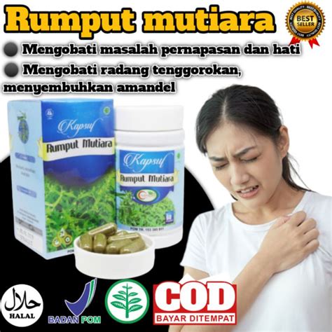 Jual Obat Radang Herbal Alami Rumput Mutiara Isi 60 Atasi Gangguan