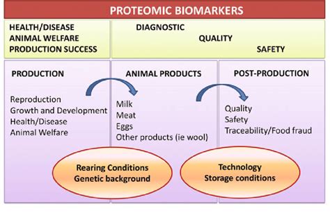 1 Schematic Illustration Of Proteomics Approaches To Improve Farm