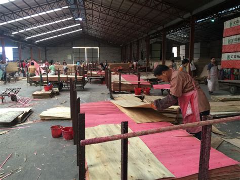 How Is Plywood Made Plywood Production Line Processing Plywoodline