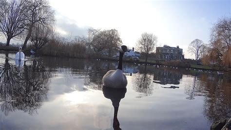 Sony HDR-AS50 Review | Photography Blog