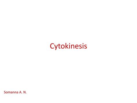 Cytokinesis Ppt