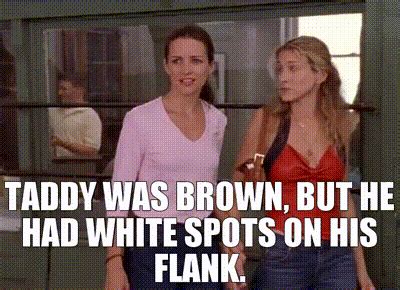 YARN Taddy Was Brown But He Had White Spots On His Flank Sex And The City S E