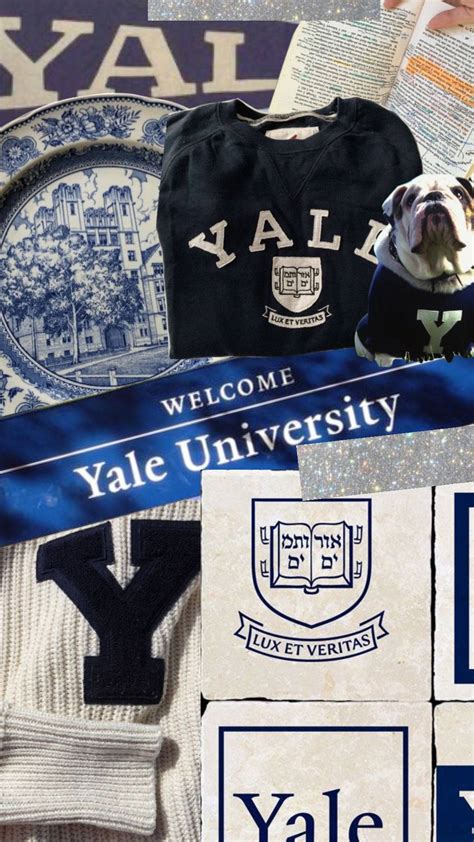 Top Yale University Wallpapers Full Hd K Free To Use