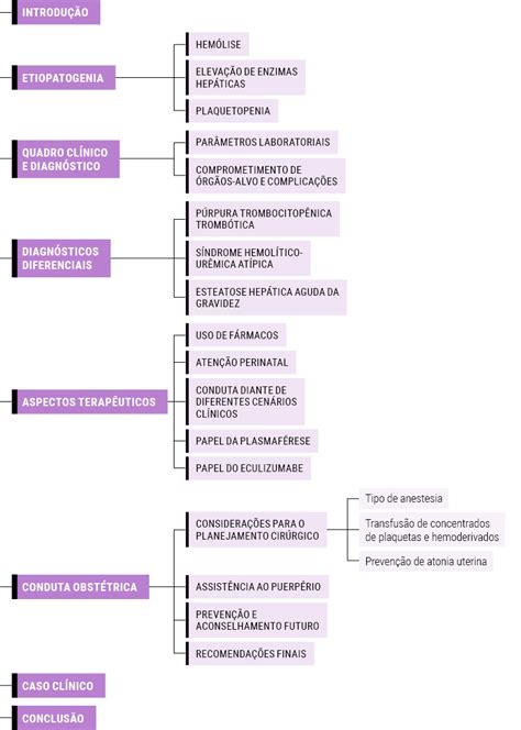 Resumo De Pr Ecl Mpsia Fatores De Risco S Ndrome Off