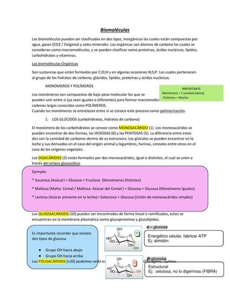 Biomoléculas Glúcidos y lipidos Rocio Antonia Correa Guerra uDocz