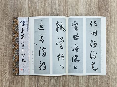 正大筆莊 墨林19《懷素草書千字文 草書》書法 字帖 墨林精粹 墨林 大眾 懷素 草書 Yahoo奇摩拍賣