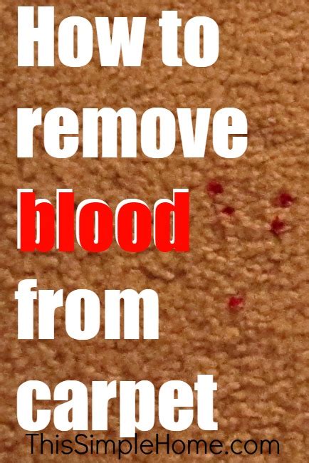 How To Remove Blood Stains On Carpet This Simple Home