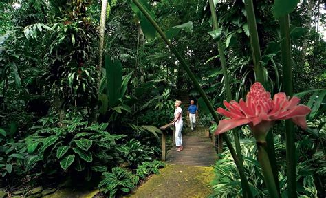 Cairns-Botanic-Gardens | Cairns Discovery Tours