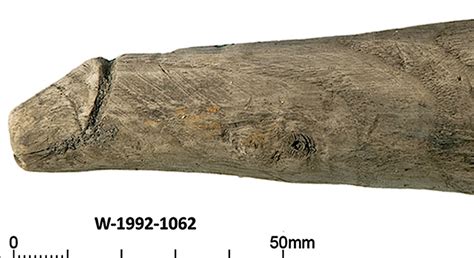Archäologen entdecken ersten bekannten Dildo der Römerzeit Archäologie derStandard at