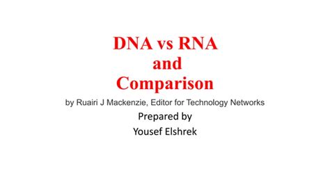 Dna Vs Rna And Comparisonpptx