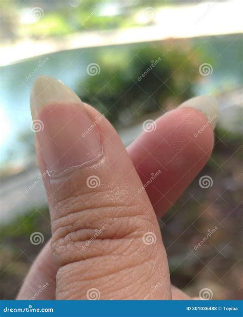 Two Fingers Joined Together Symbolize Love Stock Photo Image Of