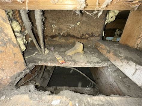 Denver Ducts Updated January Photos Reviews