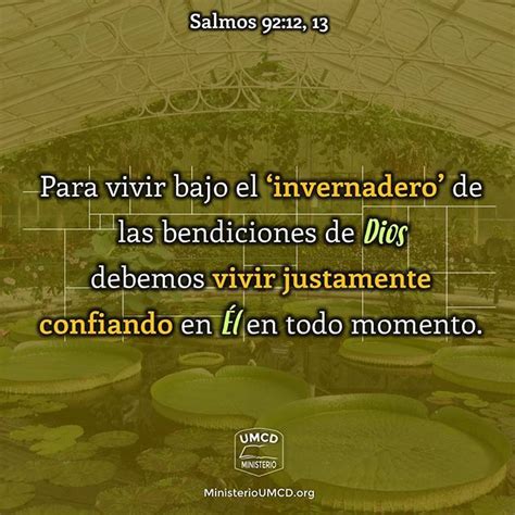 Efecto Invernadero Efecto Invernadero Invernadero Bendiciones De Dios