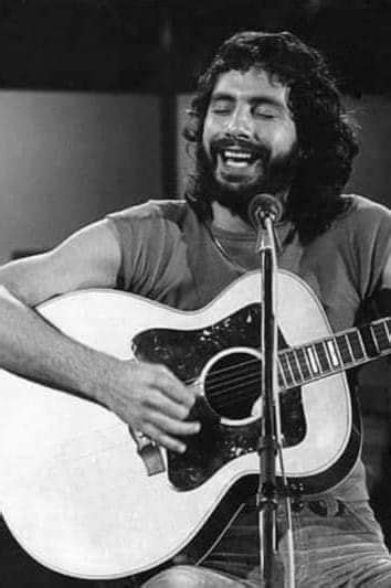 Cat Stevens Great Cat Black And White Pictures Beautiful Soul High