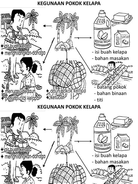 Kegunaan Pokok Kelapa Pdf