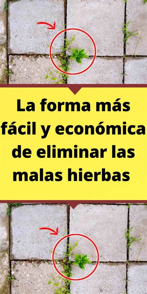 La Forma M S F Cil Y Econ Mica De Eliminar Las Malas Hierbas Planting