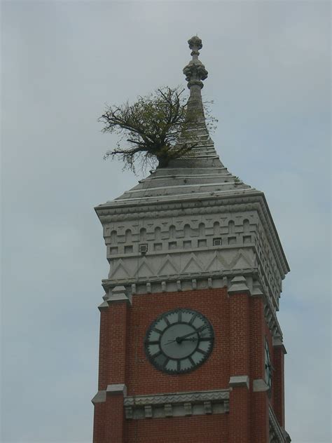 The Courthouse Tree Greensburg Indiana The Decatur County Flickr