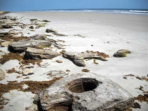 Washington Oaks Gardens, Flagler County: Beach with fantastic rocks