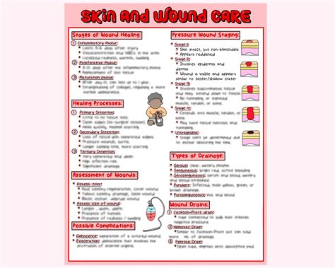 Skin And Wound Care Nursing Study Guide Etsy In Wound Care