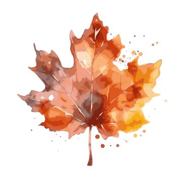 Watercolor Fall Leaf Clipart Watercolor Painted Maple Leaf On A White ...