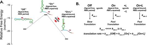 Figure From A High Throughput Screen For Synthetic Riboswitches