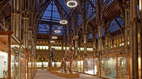 oxford university museum  natural history art fund