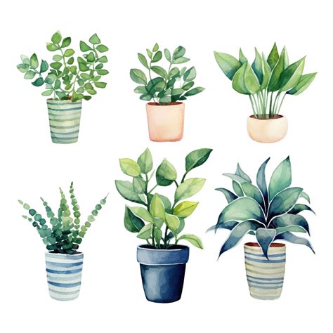 Watercolor Plant Clip Art, Watercolor, Hand, Draw PNG Transparent Image ...