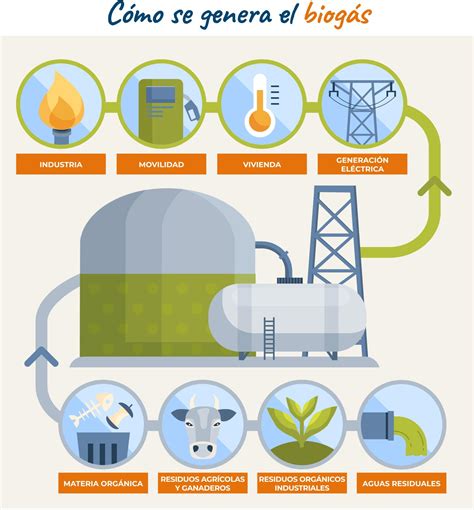 Diagrama De Produccion De Biogas De Residuos Solidos Biogas