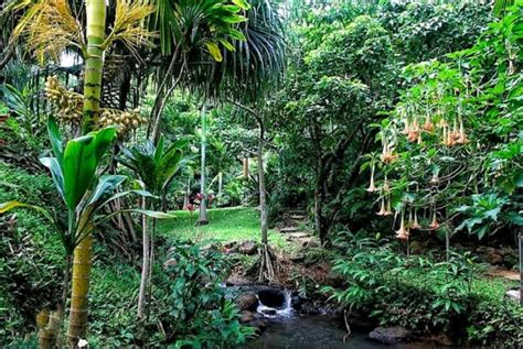 Top 9 Nude Beaches In Hawai All Details