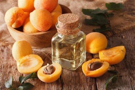 Абрикосовое масло для лица: применение, рецепты масок, отзывы