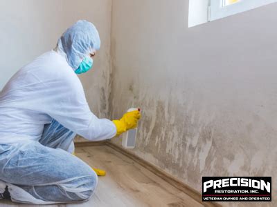 Expert Guide To DIY Mold Remediation What You Need To Know