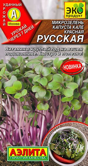 Купить Микрозелень "Аэлита" Капуста кале красная Русская 3 г в Онсад.ру ...