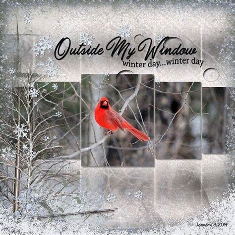 Catch A Snowflake Mega Bundle | Digital Art