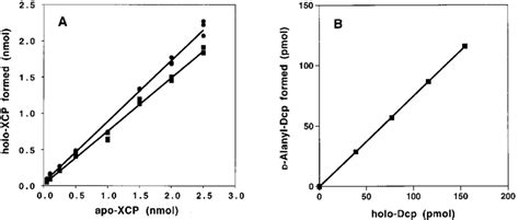 A Conversion Of Recombinant Apo Dcp To Holo Dcp Catalyzed By Holo Acp Download Scientific