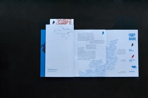 Сквор on Behance