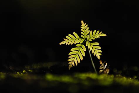New life | Kalyan Varma Photography