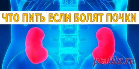 ЧТО ПИТЬ ЕСЛИ БОЛЯТ ПОЧКИ | Полезные советы! | здоровье | Постила