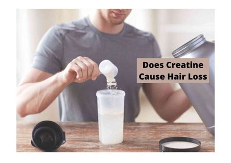 Does Creatine Cause Hair Loss Best Hair Looks