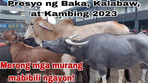 Dagsa Pa Din Ang Mga Alagaing Hayop Presyo Ng Baka Kalabaw At