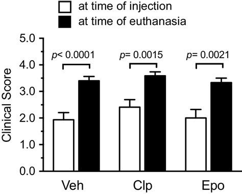 Intrathecal Injection Of Calpeptin Or Epoxomicin Does Not Affect The