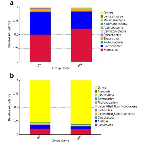 Relative Abundance Histogram Fecal Microbial Composition Of Wild WW