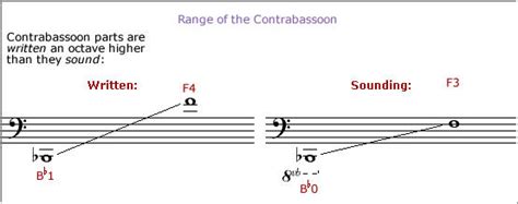 Bassoon - Orchestration Skills-Step 5