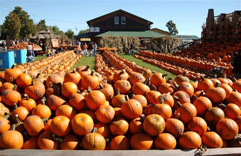 Great Pumpkin Farm Fall Festival | New York by Rail