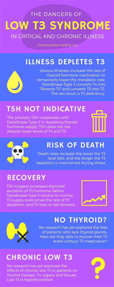 Top 10 Thyroid Tests And How To Interpret Them Izabella 40 Off