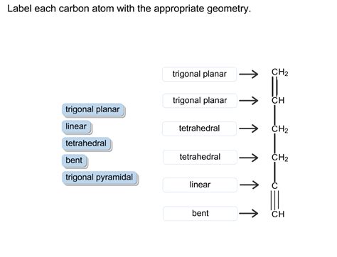 Solved Label Each Carbon Atom With The Appropriate Geometry Chegg