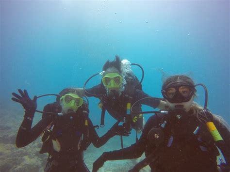 Oahu Diving Honolulu 2022 Qué Saber Antes De Ir Lo Más Comentado