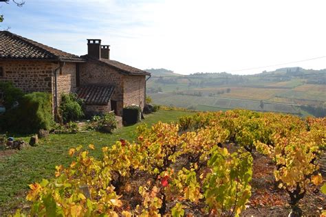 Avoiding being shot in the French Countryside in Autumn